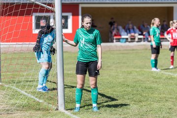Bild 341 - F SG NieBar - IF Stjernen Flensborg : Ergebnis: 2:0